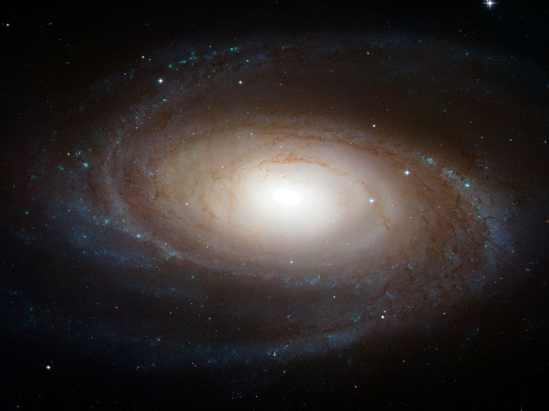 M 81