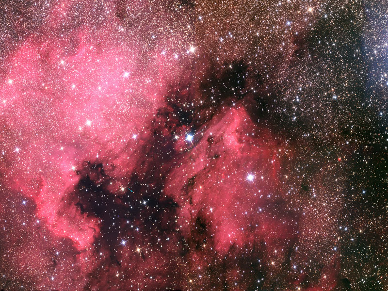 Pelican nebula